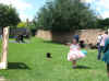Yaxley public Hall Fete.jpeg (151016 bytes)